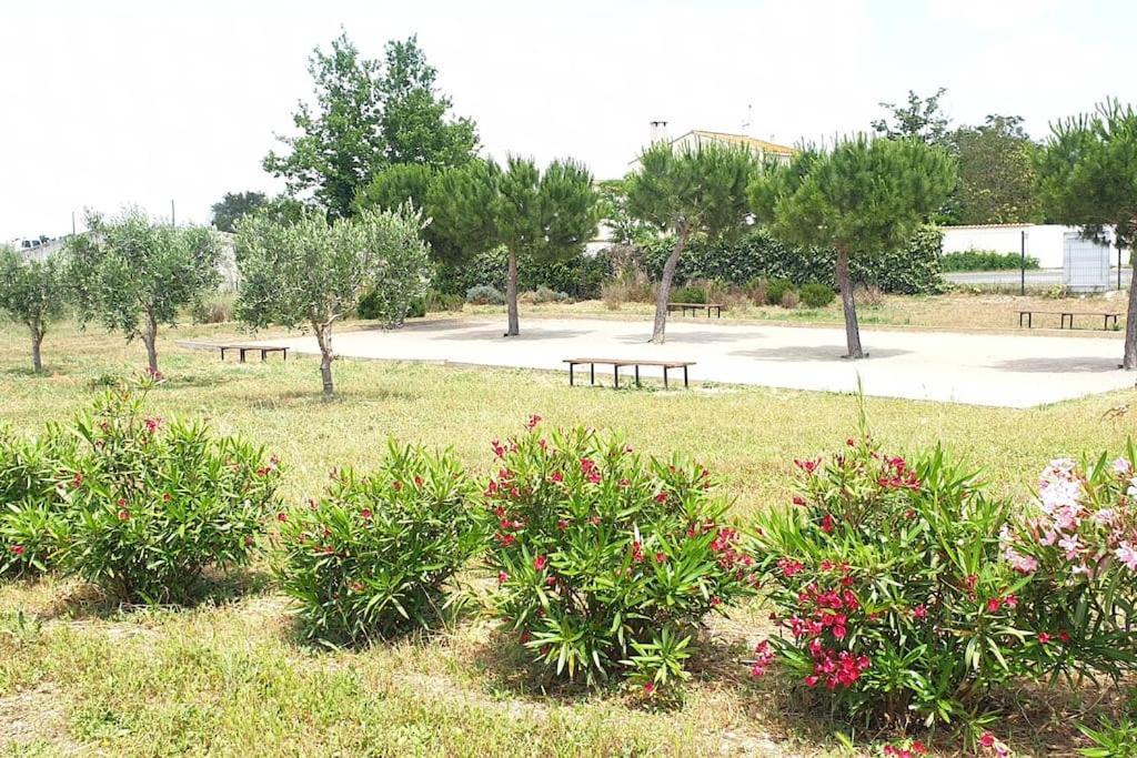 فيلا Un Bol D'Air Frais Et De Soleil Entre Campagne Et Plage بزييه المظهر الخارجي الصورة